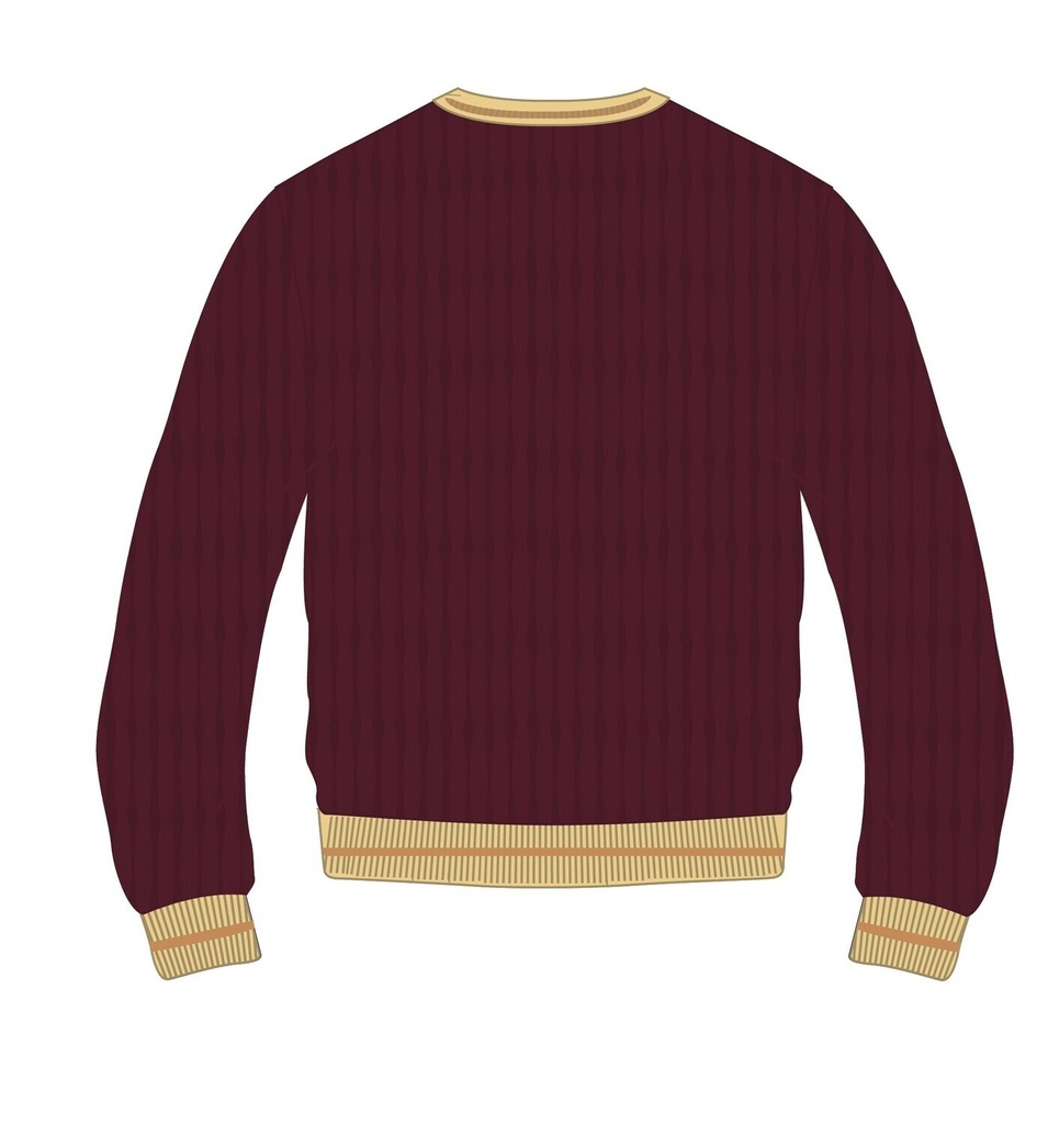 Pullover (burgundy)  