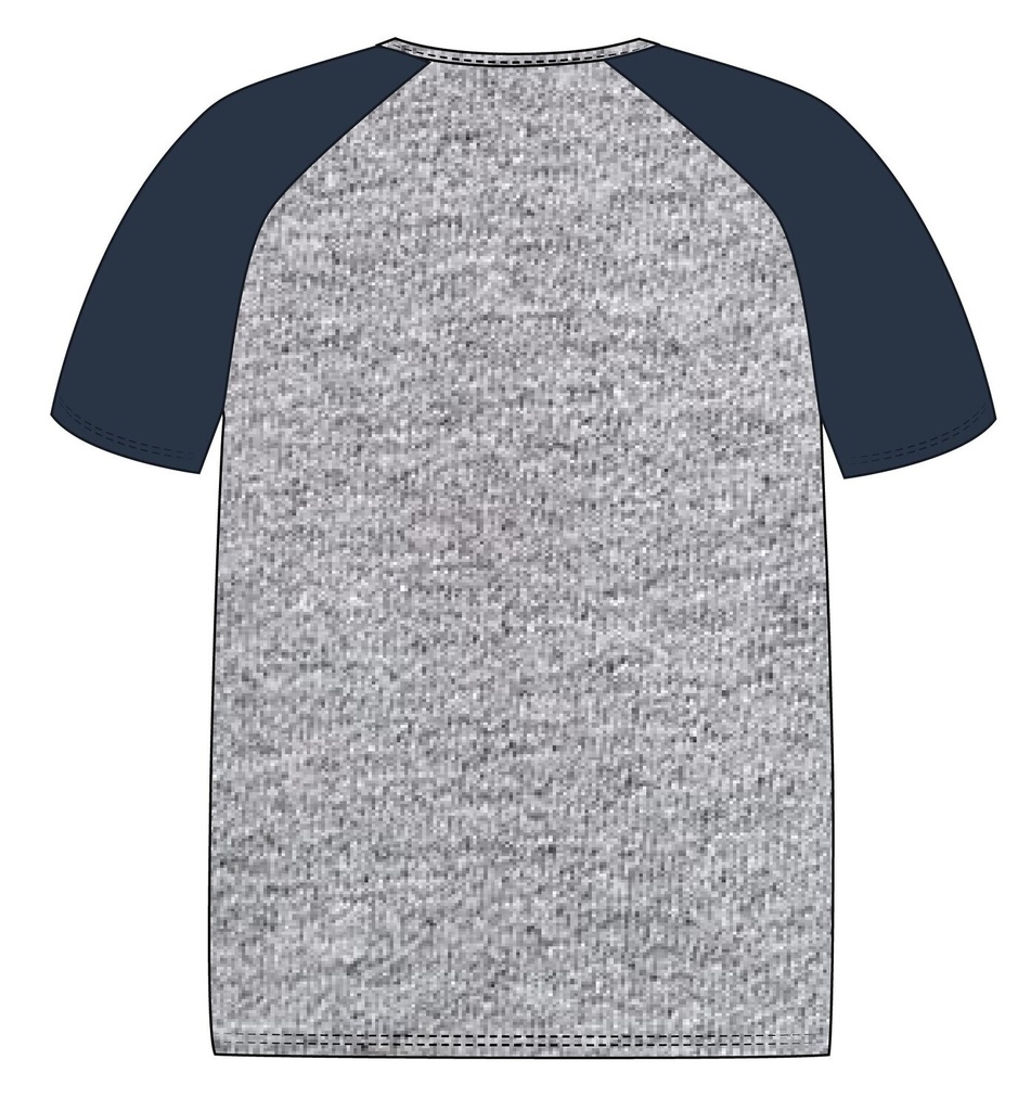 T-Shirt S. S. (adult Sizes) (Grey & indigo)