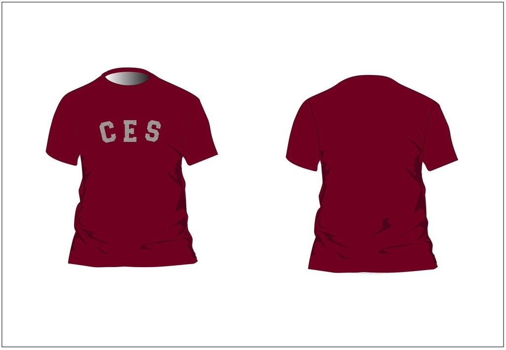 PE T-Shirt S.S (adult sizes)(Burgundy)