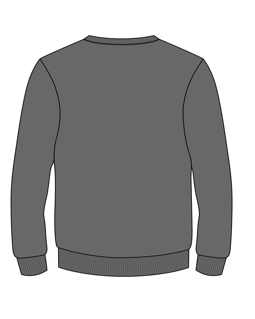 PE Sweatshirt Grey  adult sizes (XS-2XL)