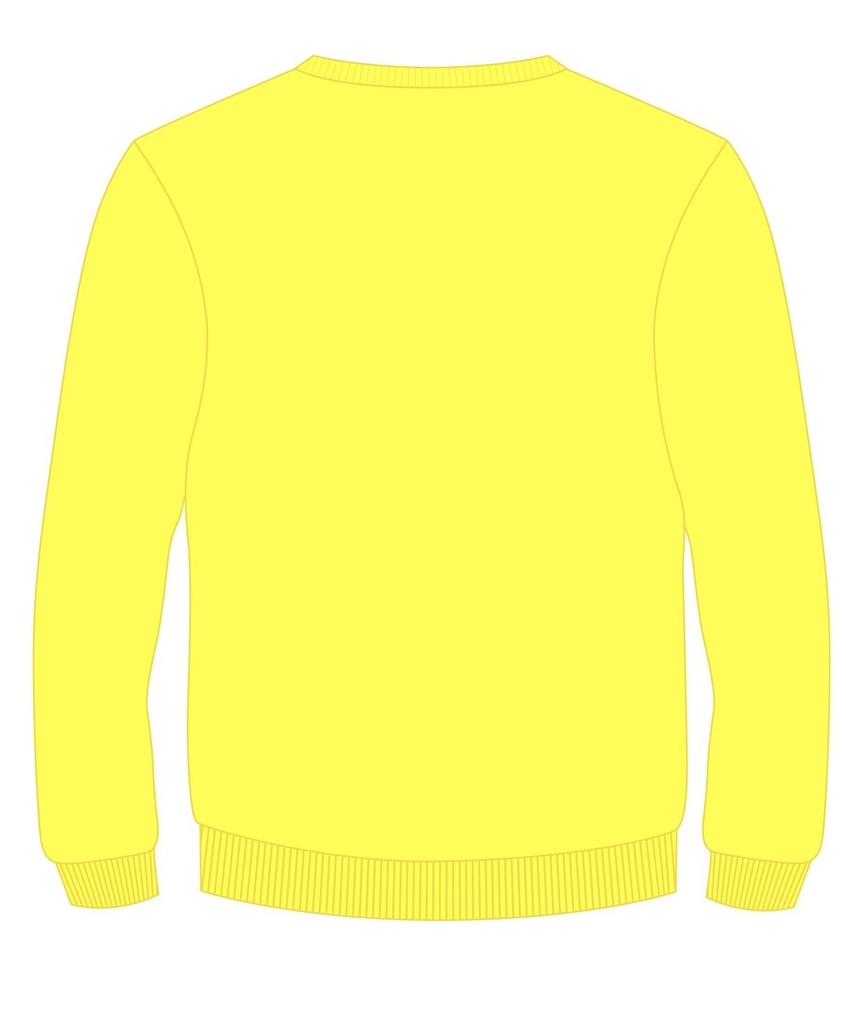 Sweat Shirt (XS -3XL adult Sizes) (Yellow )