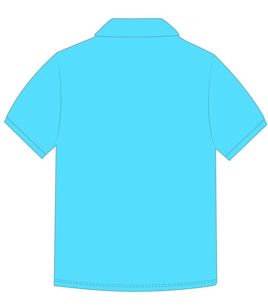 Polo Shirt  S. S (Turquoise )  Fr.