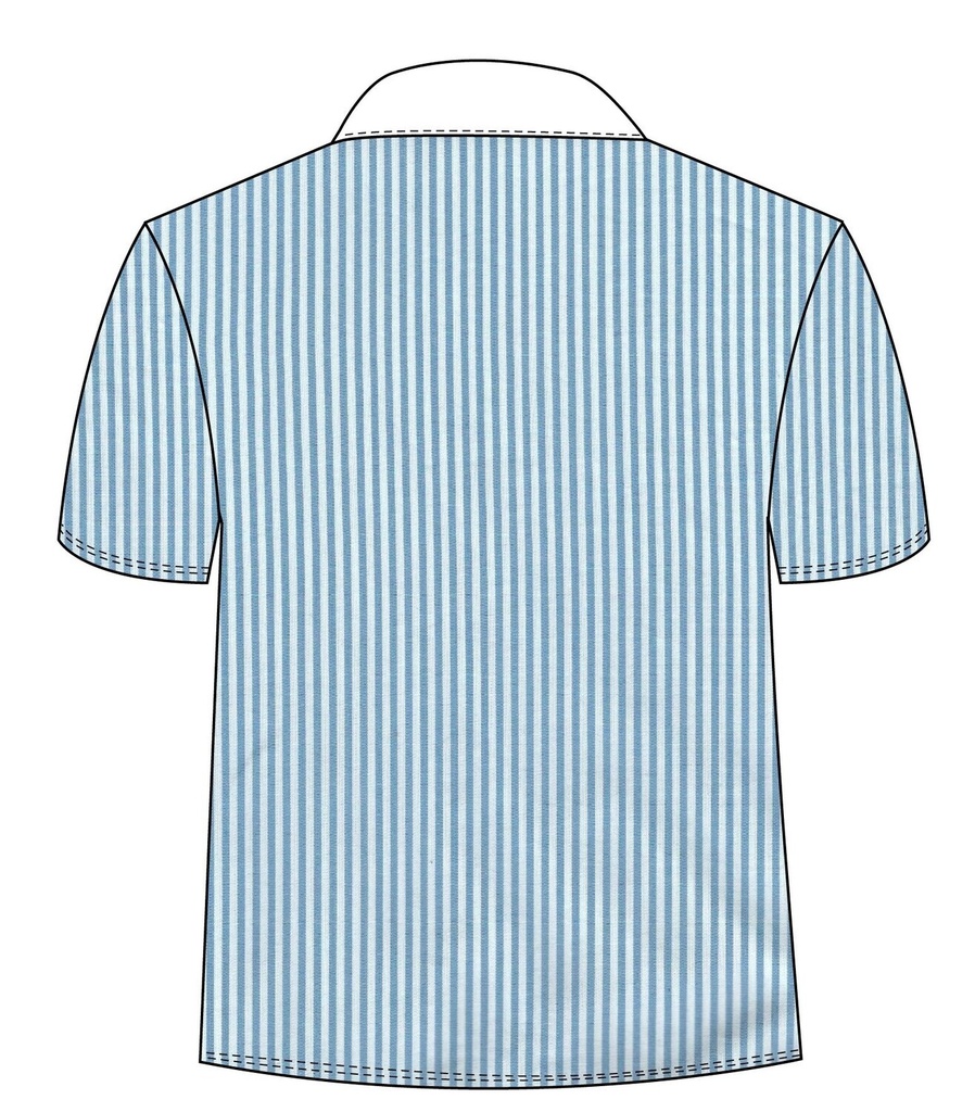 Shirt S. S (Turquoise x white)  Fr.