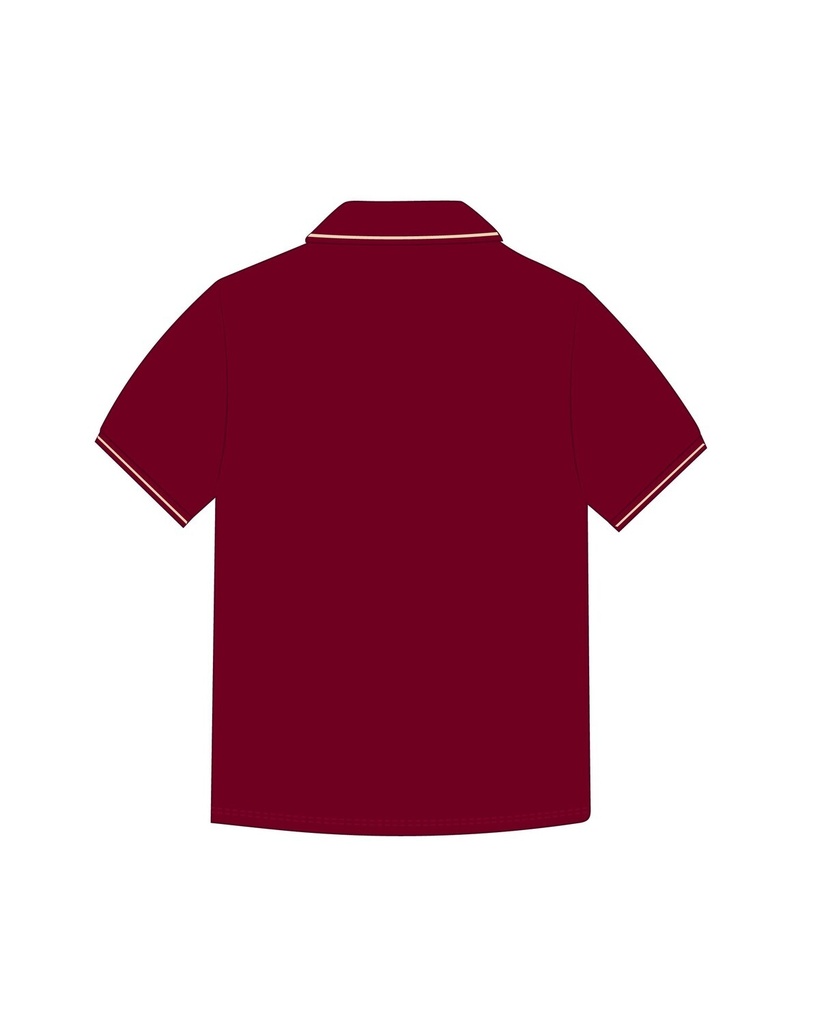 Polo Shirt  S.S( Burgundy)  