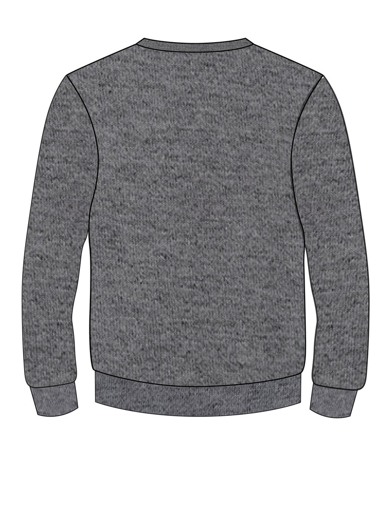 Sweat Shirt (Grey)( adult Sizes)