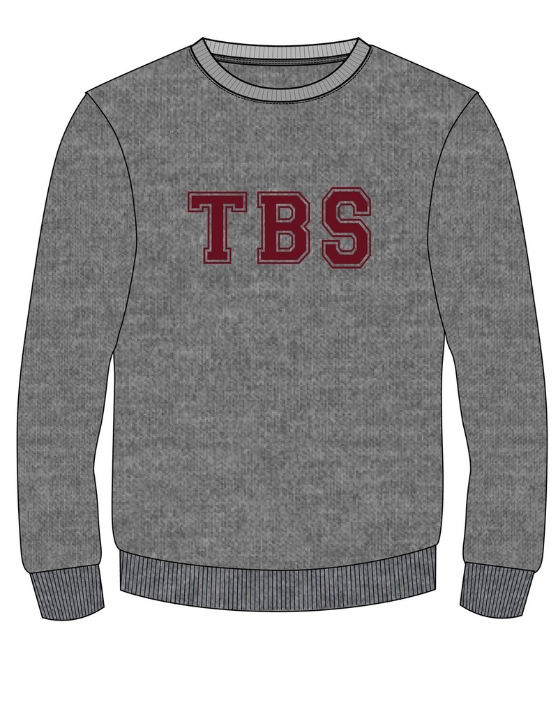 PE Sweatshirt Grey adult sizes (XS-6XL)