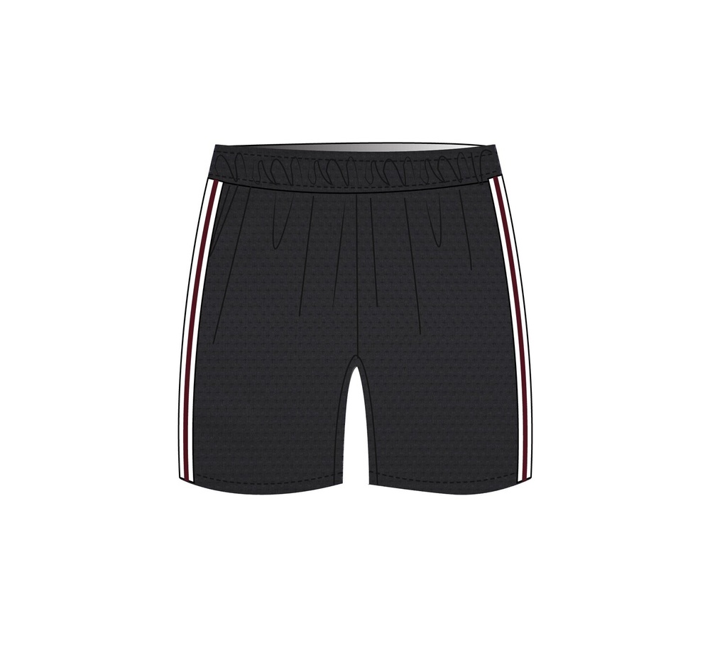 PE Shorts Grey adult sizes (XS-6XL)