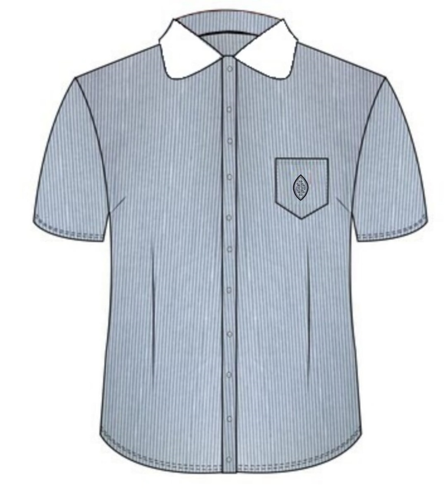 Shirt S.S. Grey (7-14) and adult sizes (XS-S)