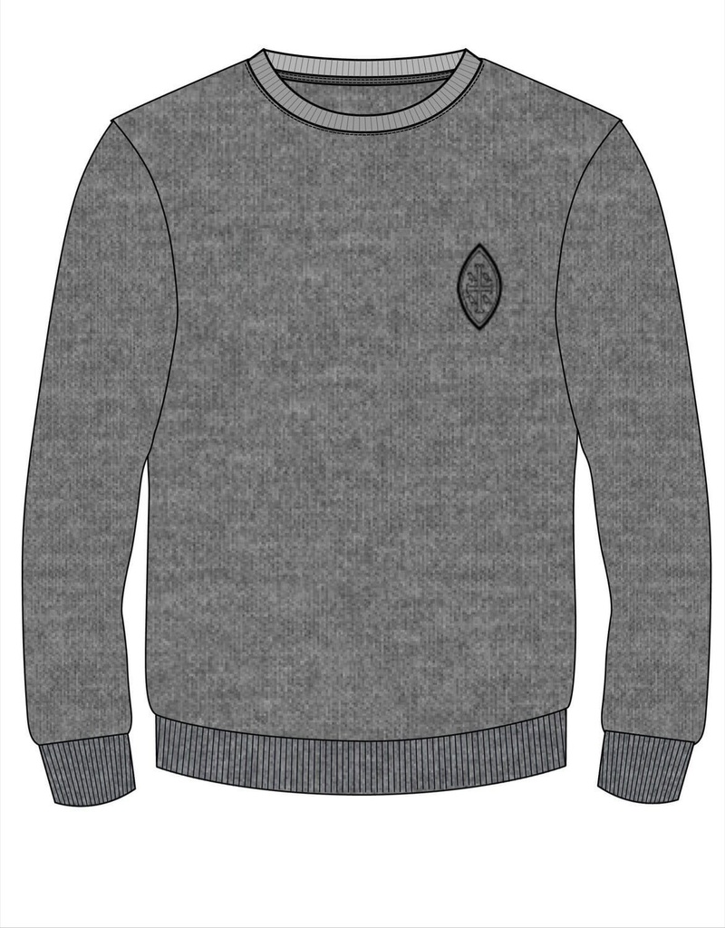 Sweatshirt Grey (2-14) and adult sizes (XS-S)