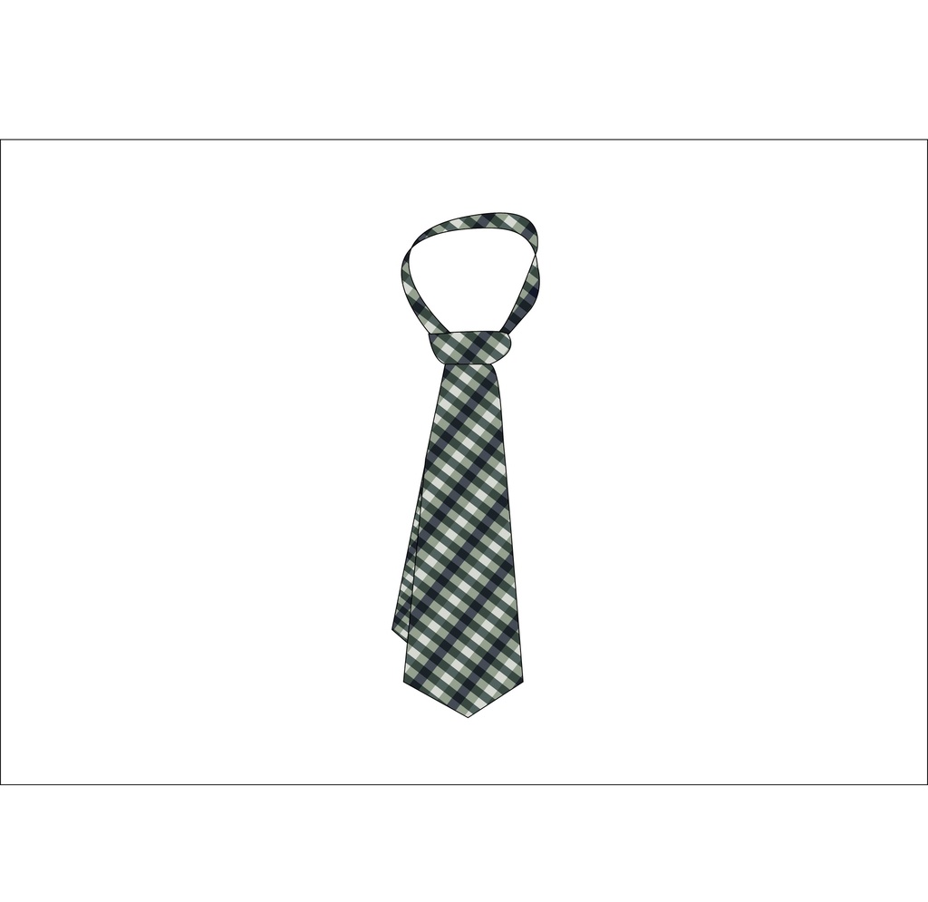 Tie  (Yr 5- Yr9)