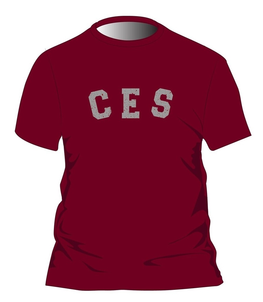 PE T-Shirt S.S. Burgundy adult sizes (XS-6XL)