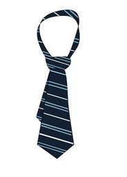 [244] Tie (Navy)