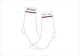 Socks (White)