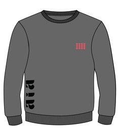 PE Sweatshirt Grey  adult sizes (XS-2XL)
