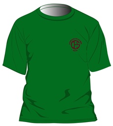 [191] House T-Shirt S.S. Green adult sizes (XS-3XL)